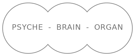 Psyche - Brain - Organ