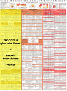 Diagnostics Chart Endoderm