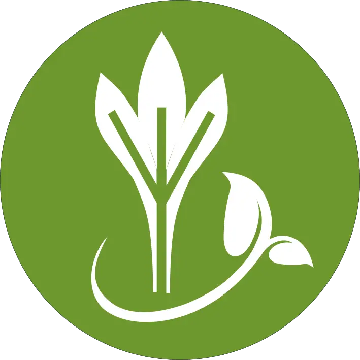 ghk-academy-logo ghk-academy-logo