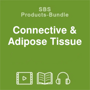 SBS connective & adipose-tissue bundle