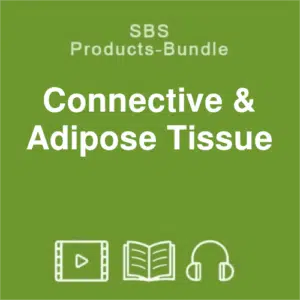 SBS connective & adipose-tissue bundle