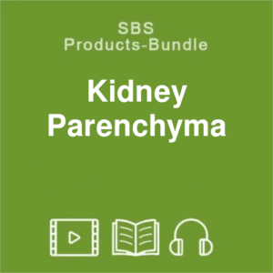 SBS kidney parenchyma